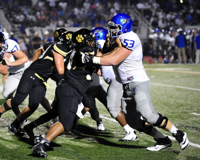 PREP FOOTBALL: Cullman gives it their all, falls short in home opener 28-14 8_3.jpg