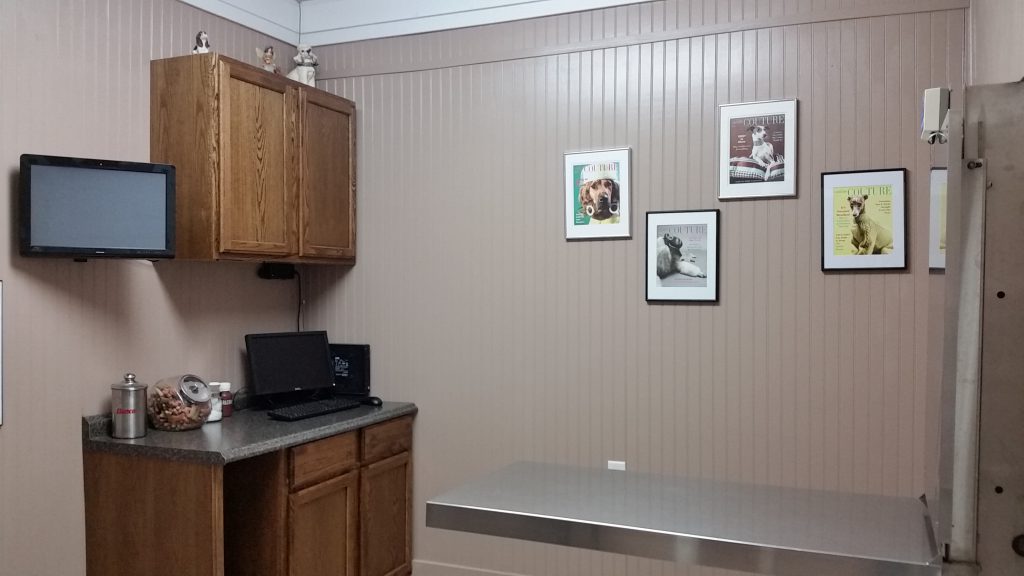 20141016_110313.jpg