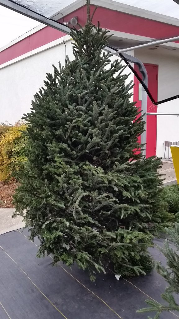 20141126_150659.jpg