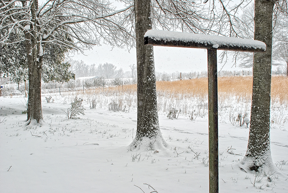 Ice Storm 2015: Cullman Becomes Frozen For the Second Time in a Week Sharon Schuler Kreps/CullmanSense