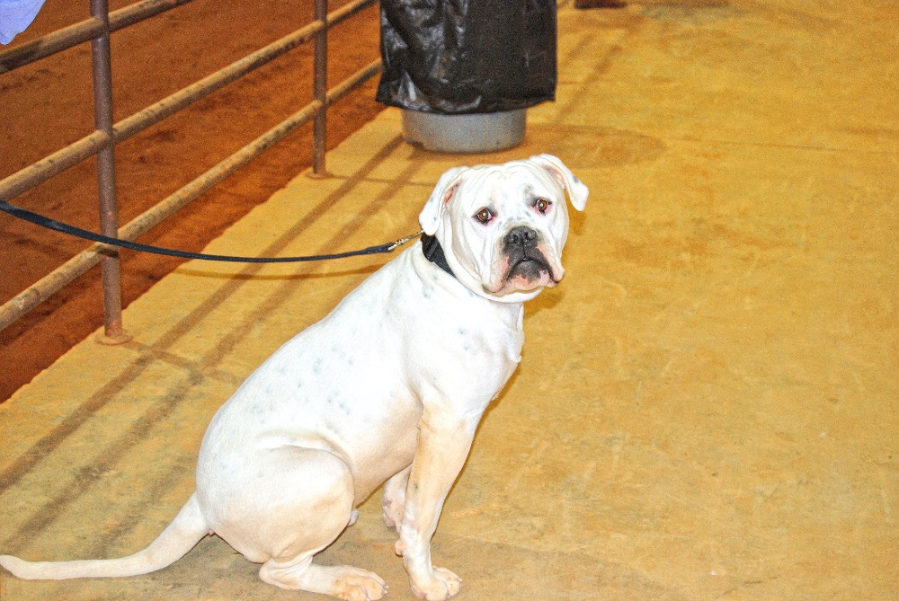Sharon Schuler Kreps / CullmanSense