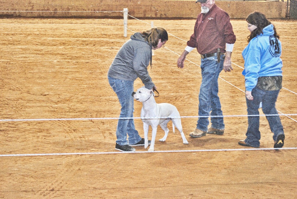 Sharon Schuler Kreps / CullmanSense