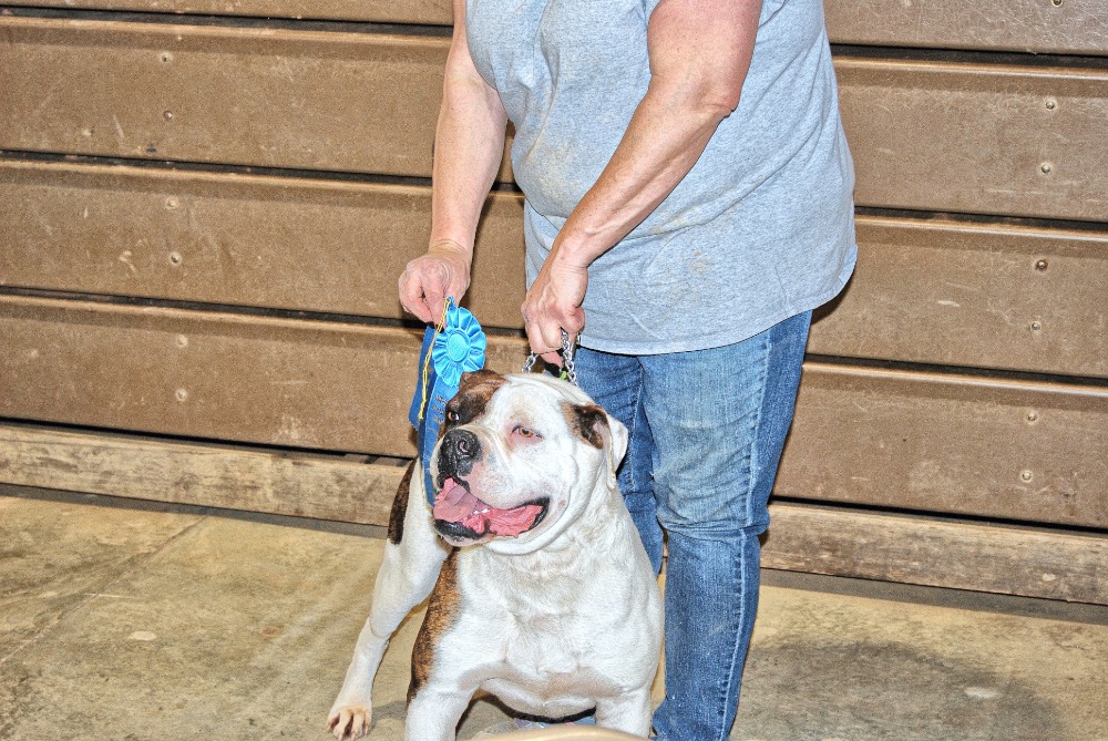 Sharon Schuler Kreps / CullmanSense