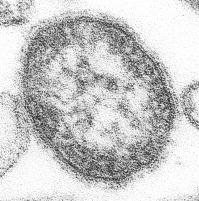 cdc.gov