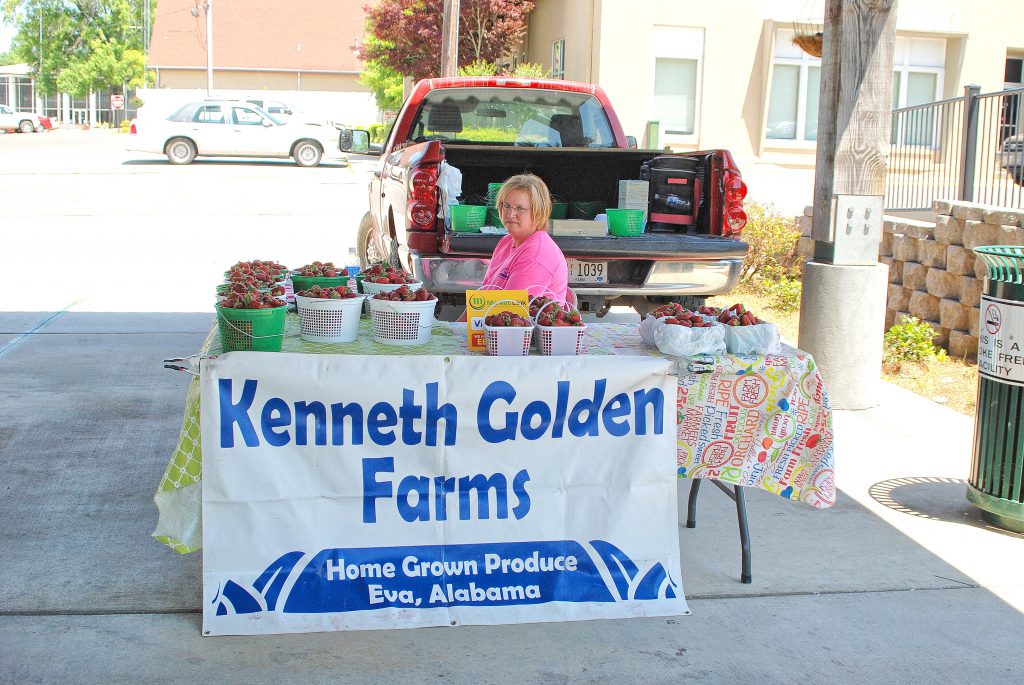 Sharon Schuler Kreps/CullmanSense