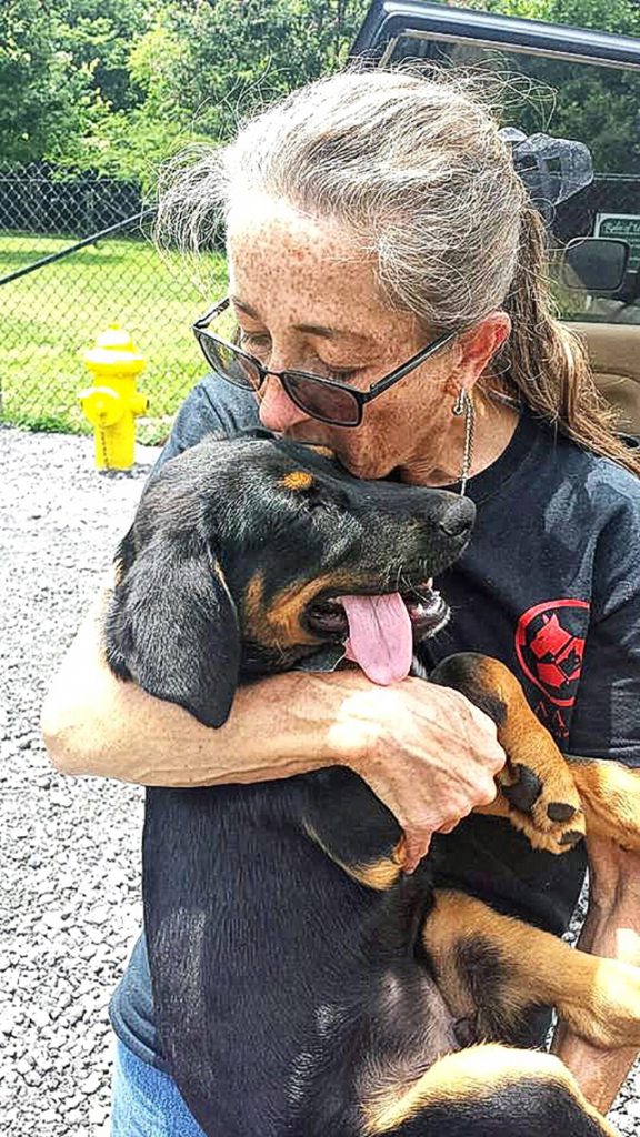 facebook.com/rescueCAAWA