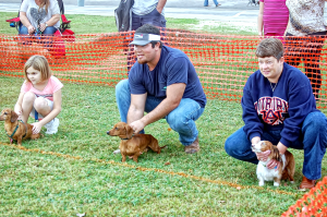 CullmanSense File Photo