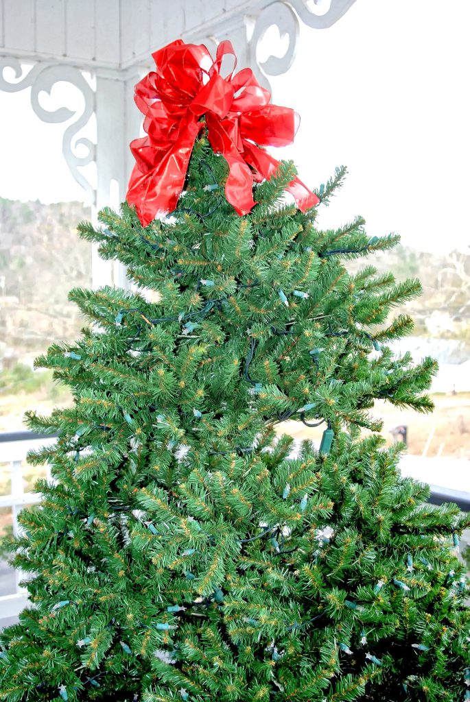 Sharon Schuler Kreps/CullmanSense