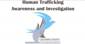 Human Trafficking Task Force