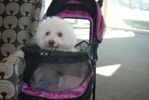 Sharon Schuler Kreps