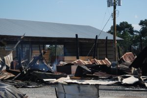 Sharon Schuler Kreps