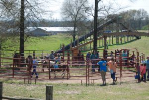 Sharon Schuler Kreps