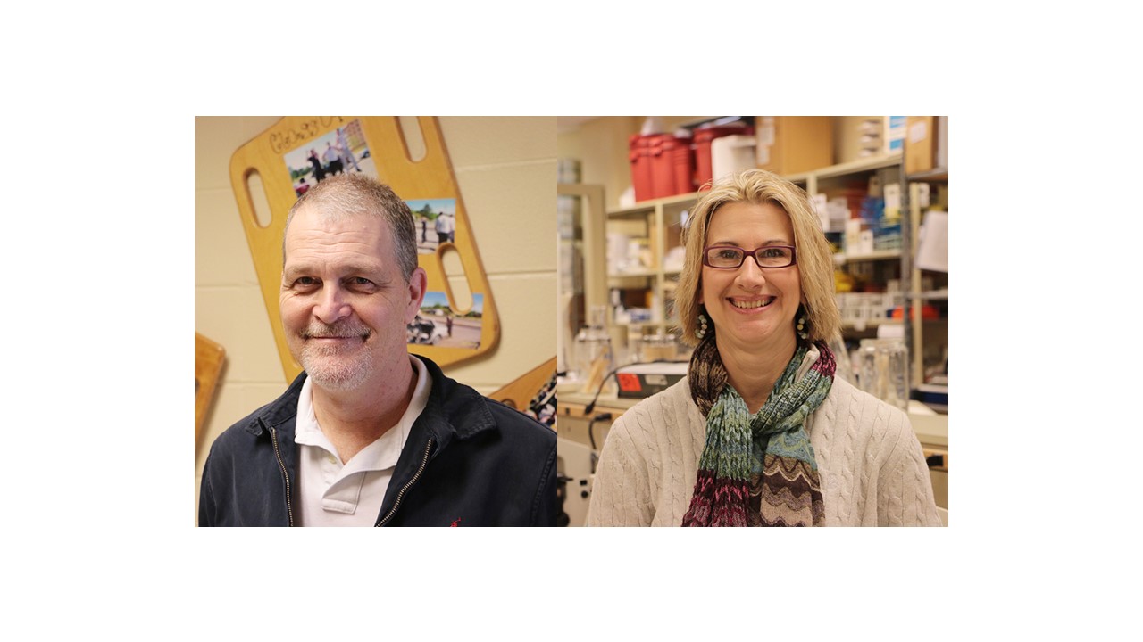 WSCC Health programs welcome new program chairs WSCC