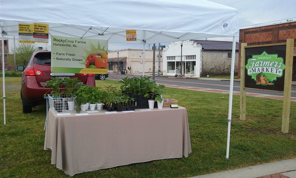 Hanceville Farmer's Market