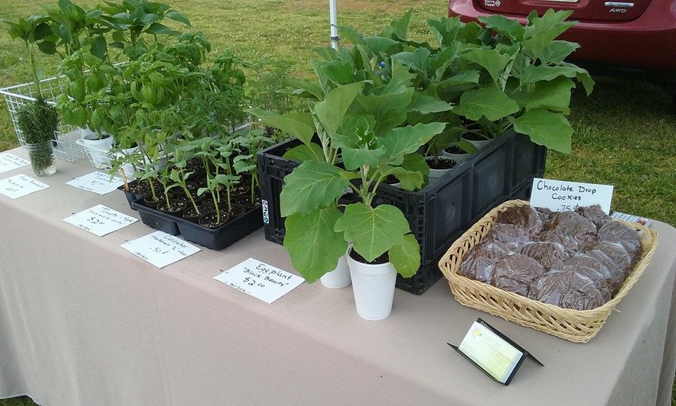 Hanceville Farmer's Market