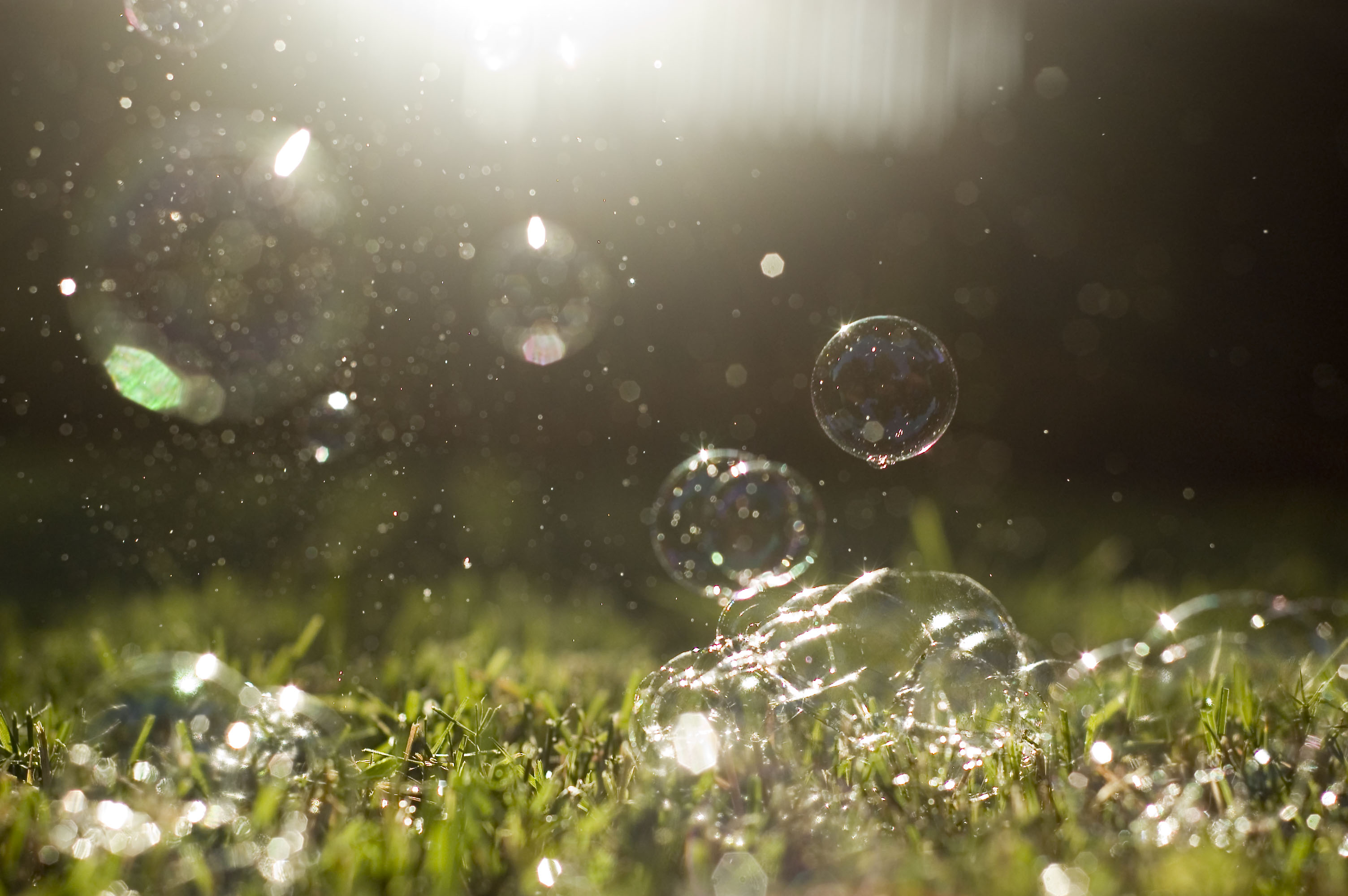 Mayor Proclaims Parental Alienation Prevention Week and “Bubbles for Love” Day in Cullman Abigail Thompson Photography