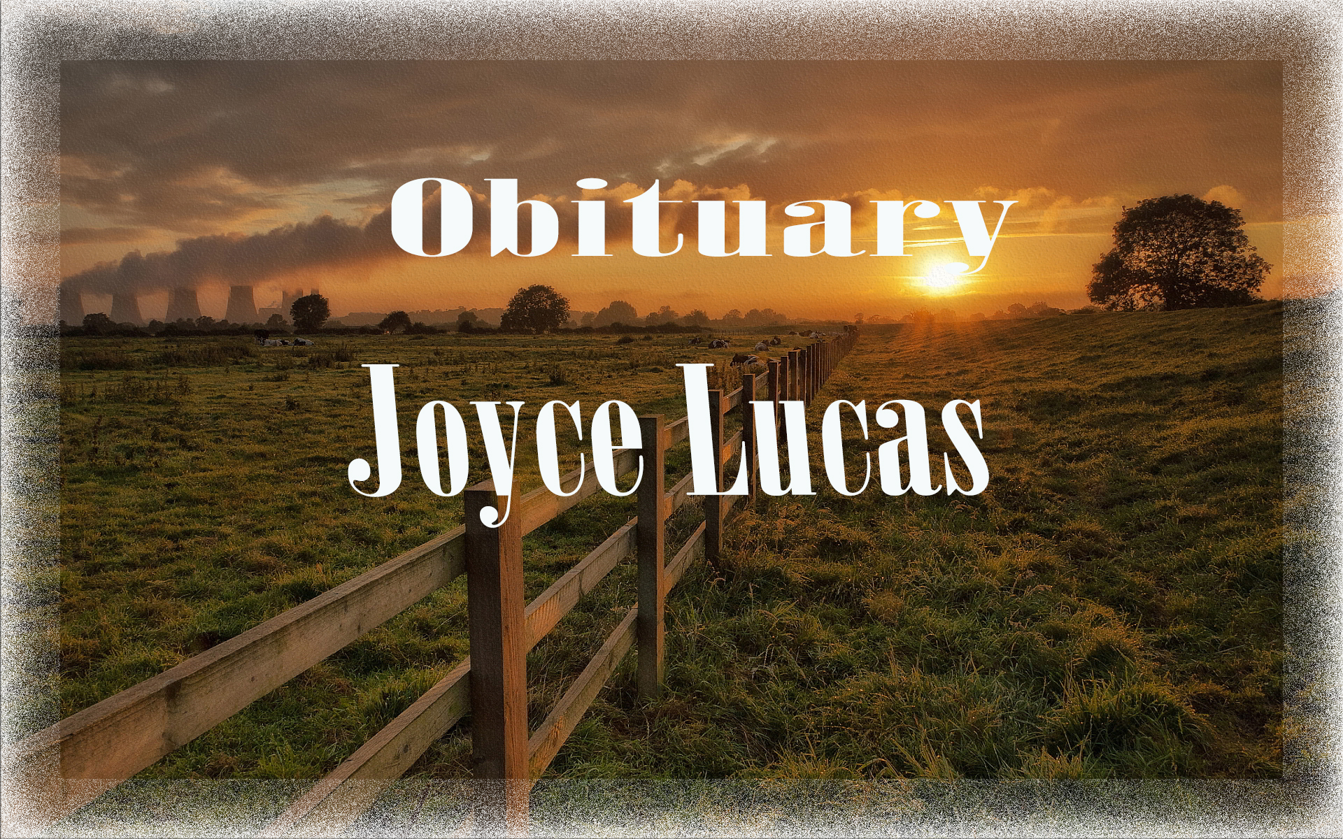 Obituary: Joyce Lucas joyce_lucas.jpg