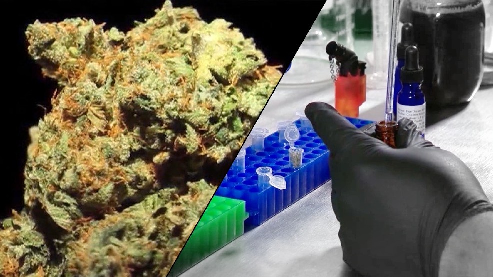 Gov. Bentley signs Leni’s Law, decriminalizing medical marijuana oil whnt