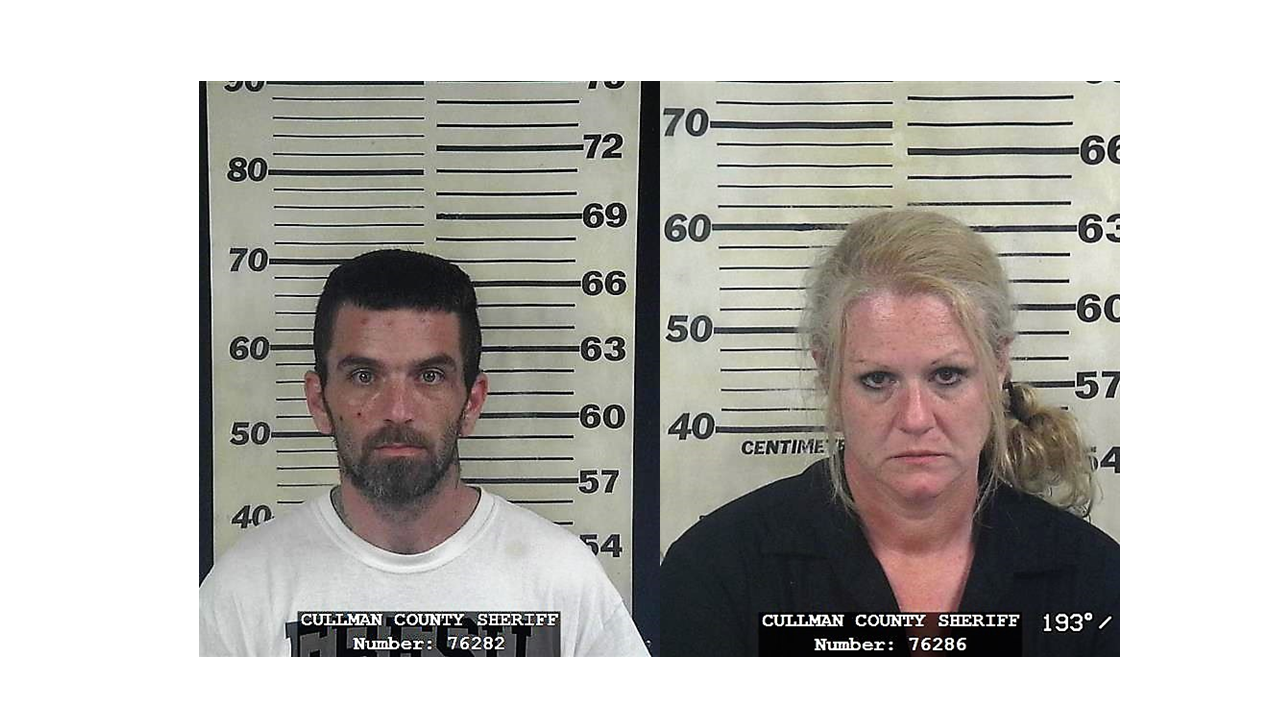 Two Arrested in Connection to Vehicle Break-ins