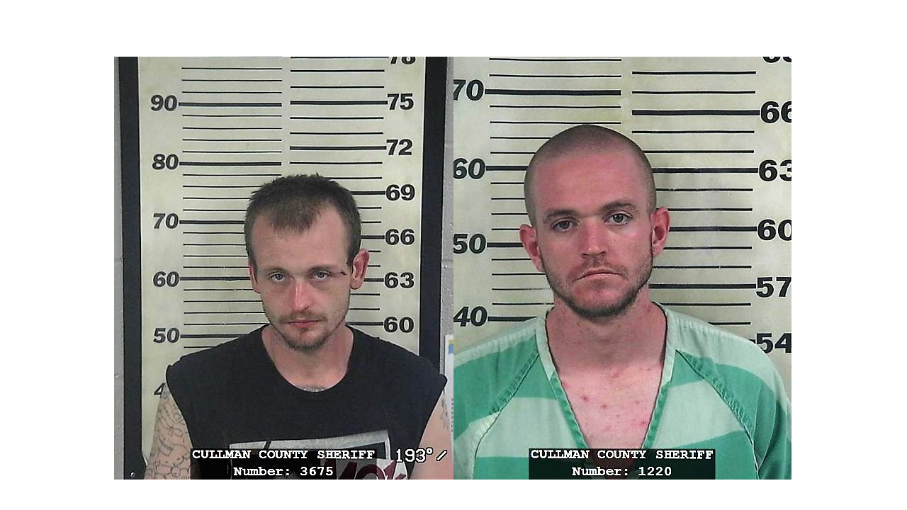 Two arrested for vehicle break-ins; property recovered CCSO