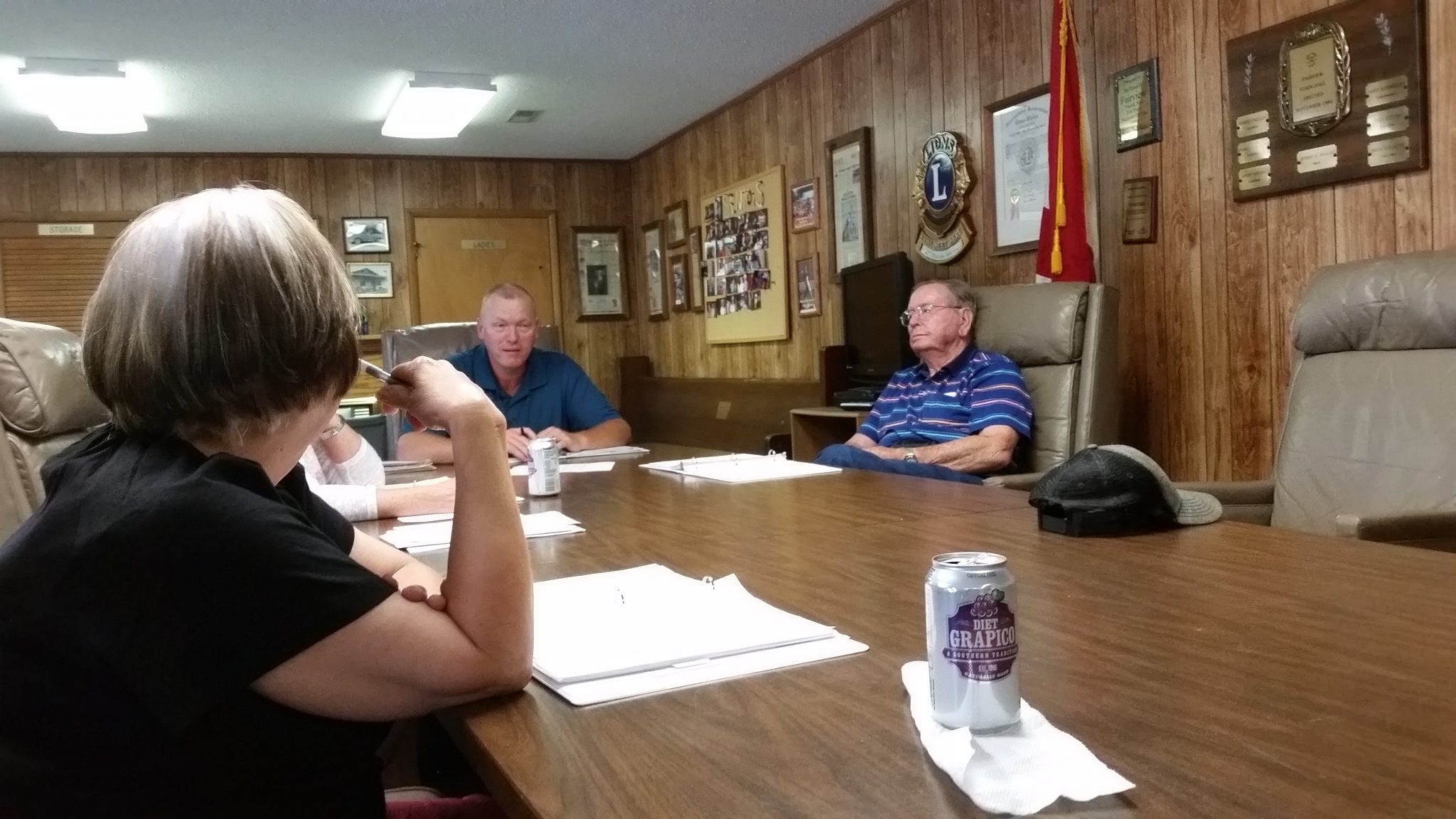 Fairview Town Council: notes from June meeting Sharon Schuler Kreps