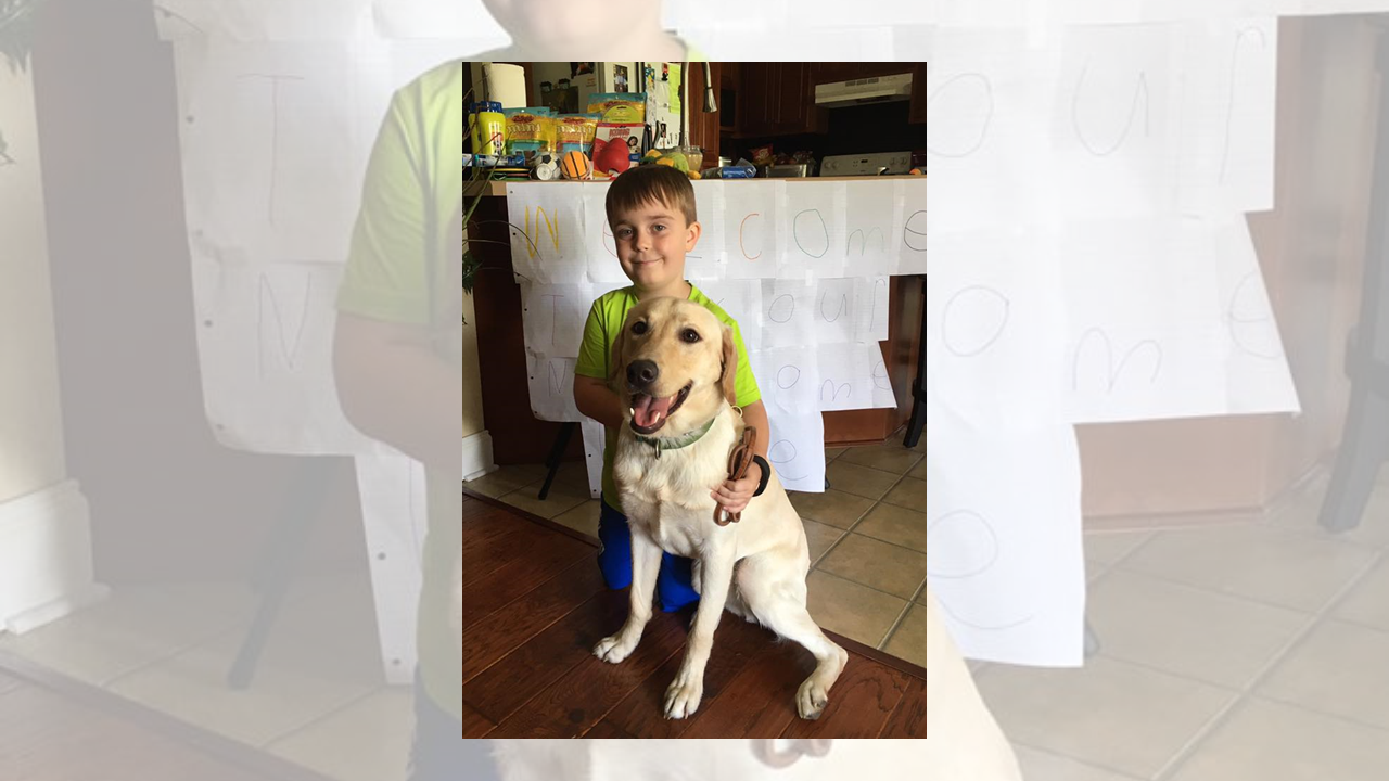 Cullman boy receives diabetic alert dog after almost year long wait Charity Hembree