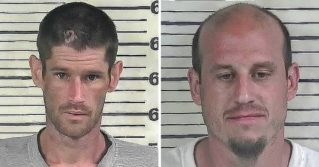 Two arrested in connection to burglaries and thefts CCSO