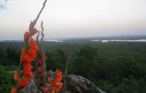 The Secret Bed & Breakfast