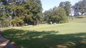 Terri Pines Country Club