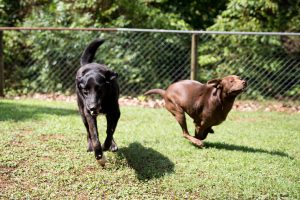 Keith McCoy/Shelby County Reporter