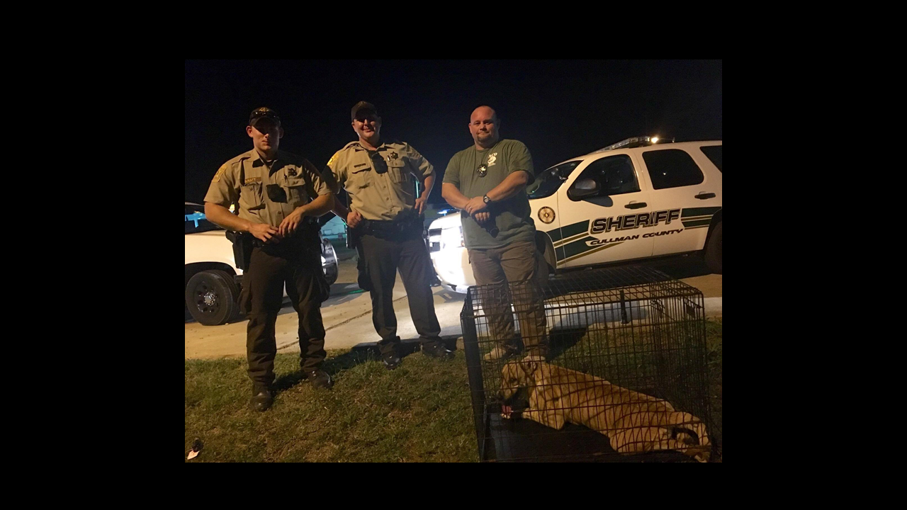 Area canine gets special assist from CCSO deputies and animal control Johnna Waid Franks