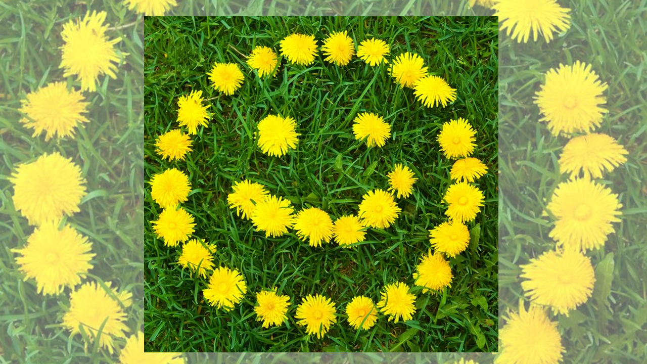 Friday Fun: July 15 grokker.com