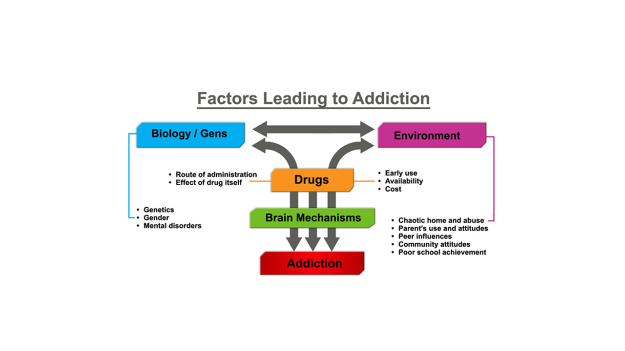 Addiction: Wrap-up NIH