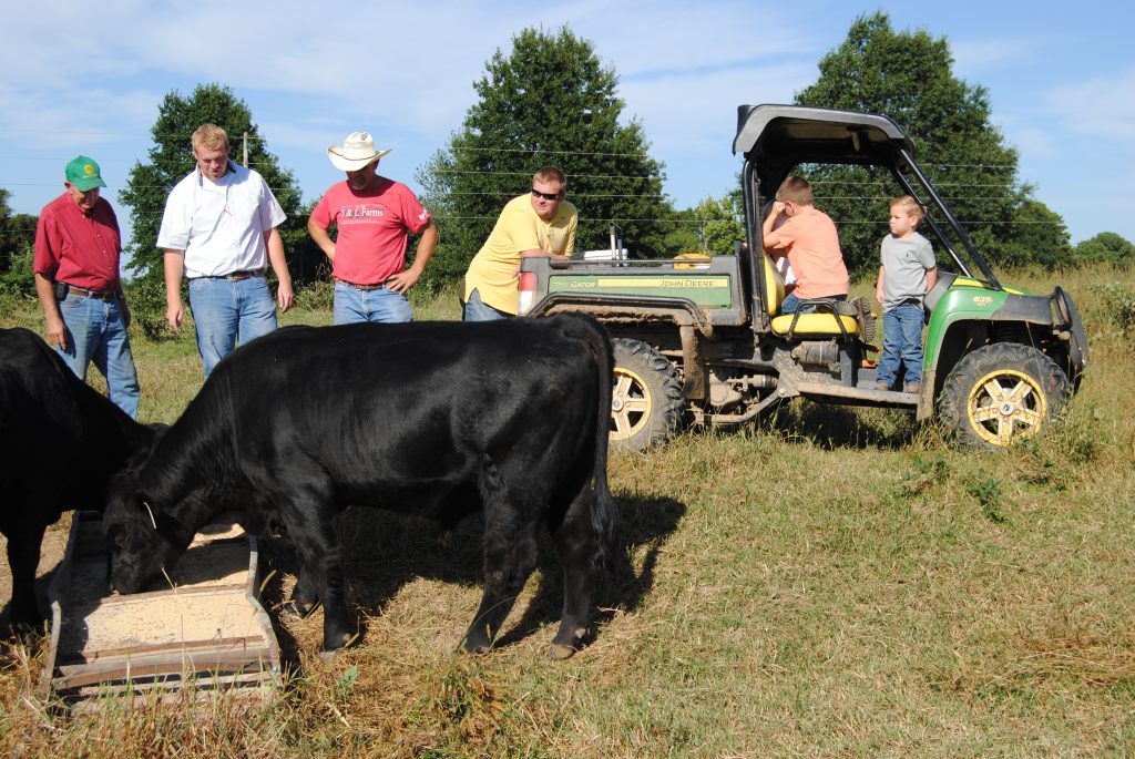 Farm to Fork what it is and why you should be excited about it! The