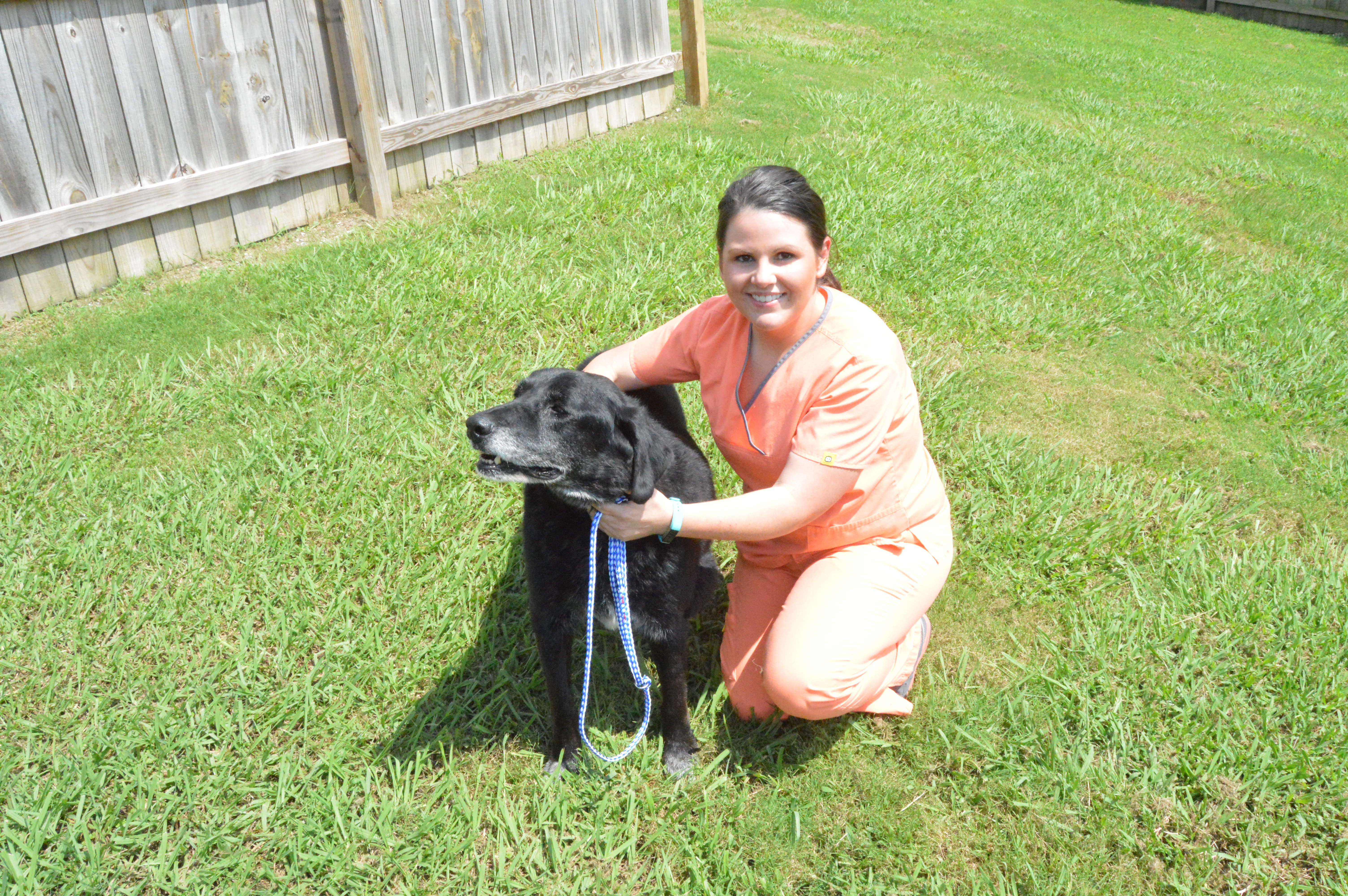 Elderly dog, Joco the Rock, rescued from sewer Will Hogue