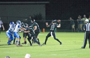 Emily Thompson/Images by Emily