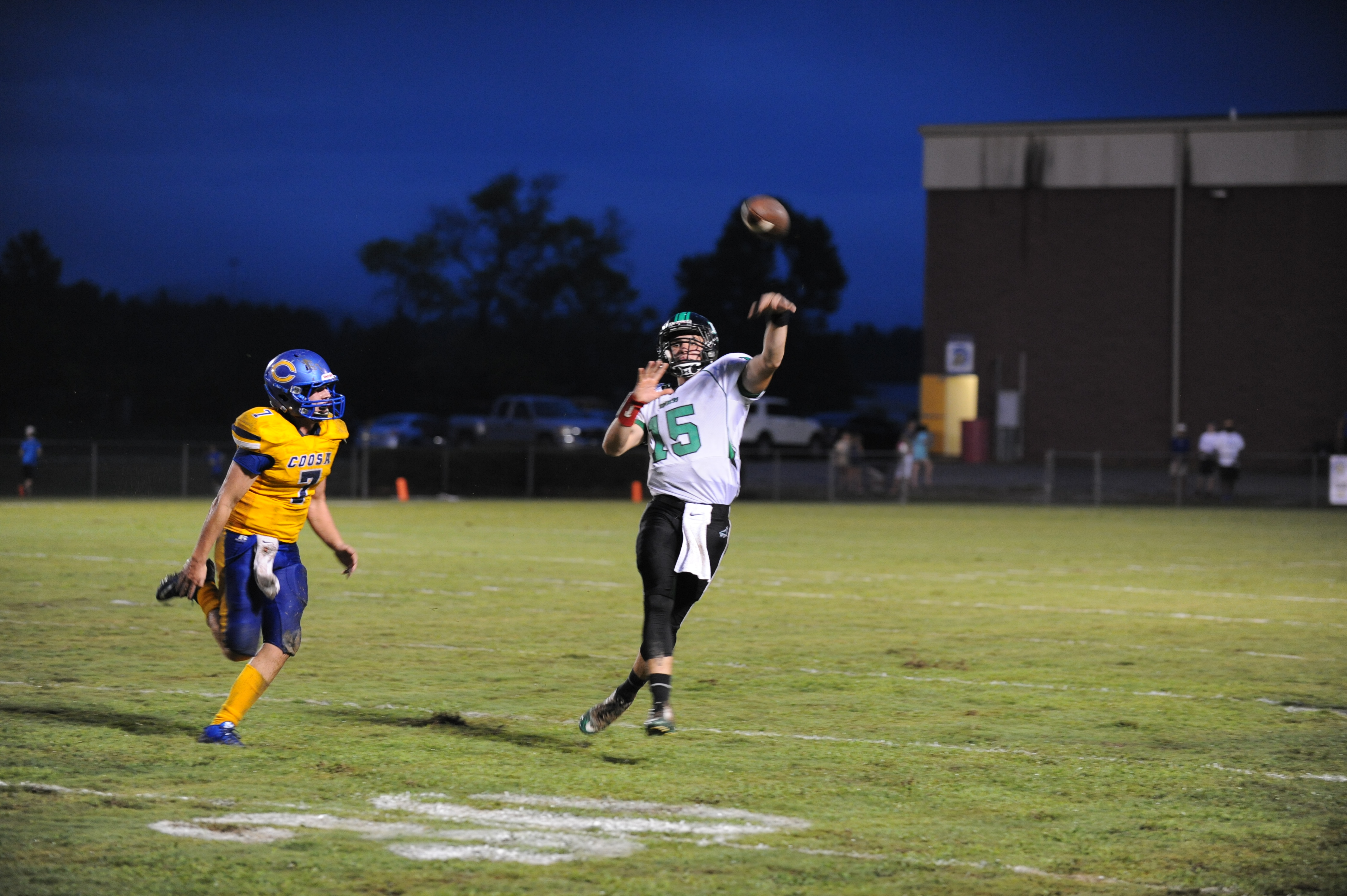 Area preview- week no. 2 Howard Cole