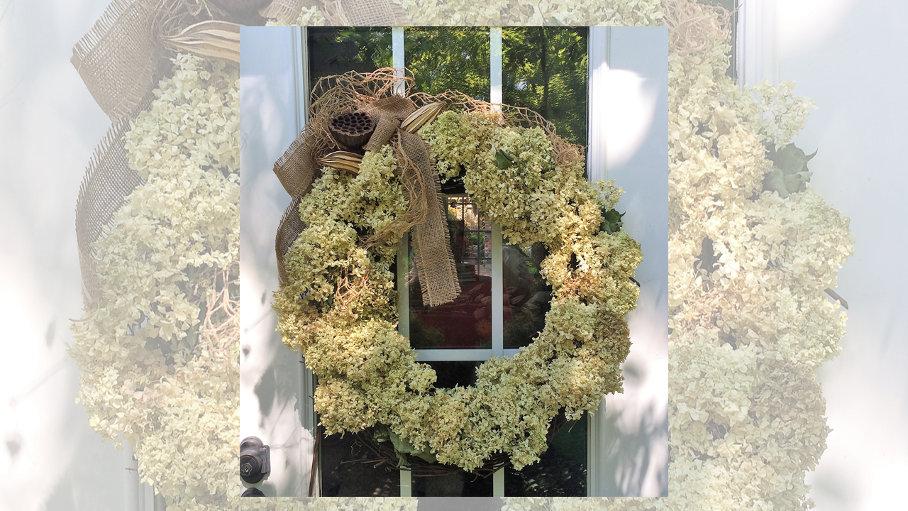 How-to: drying and preserving hydrangea blooms Loretta Gillespie