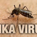 Zika virus confirmed in Cullman County- Cullman Regional prepared sowegalive
