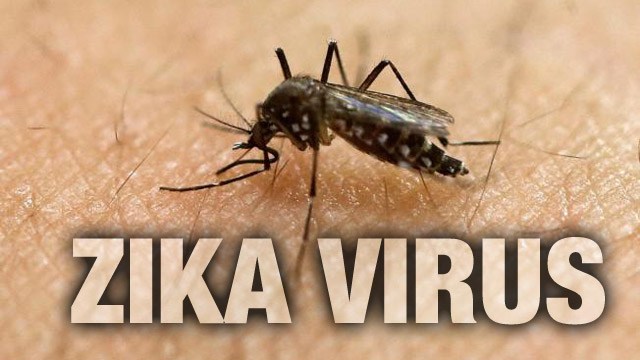 Zika virus confirmed in Cullman County- Cullman Regional prepared sowegalive