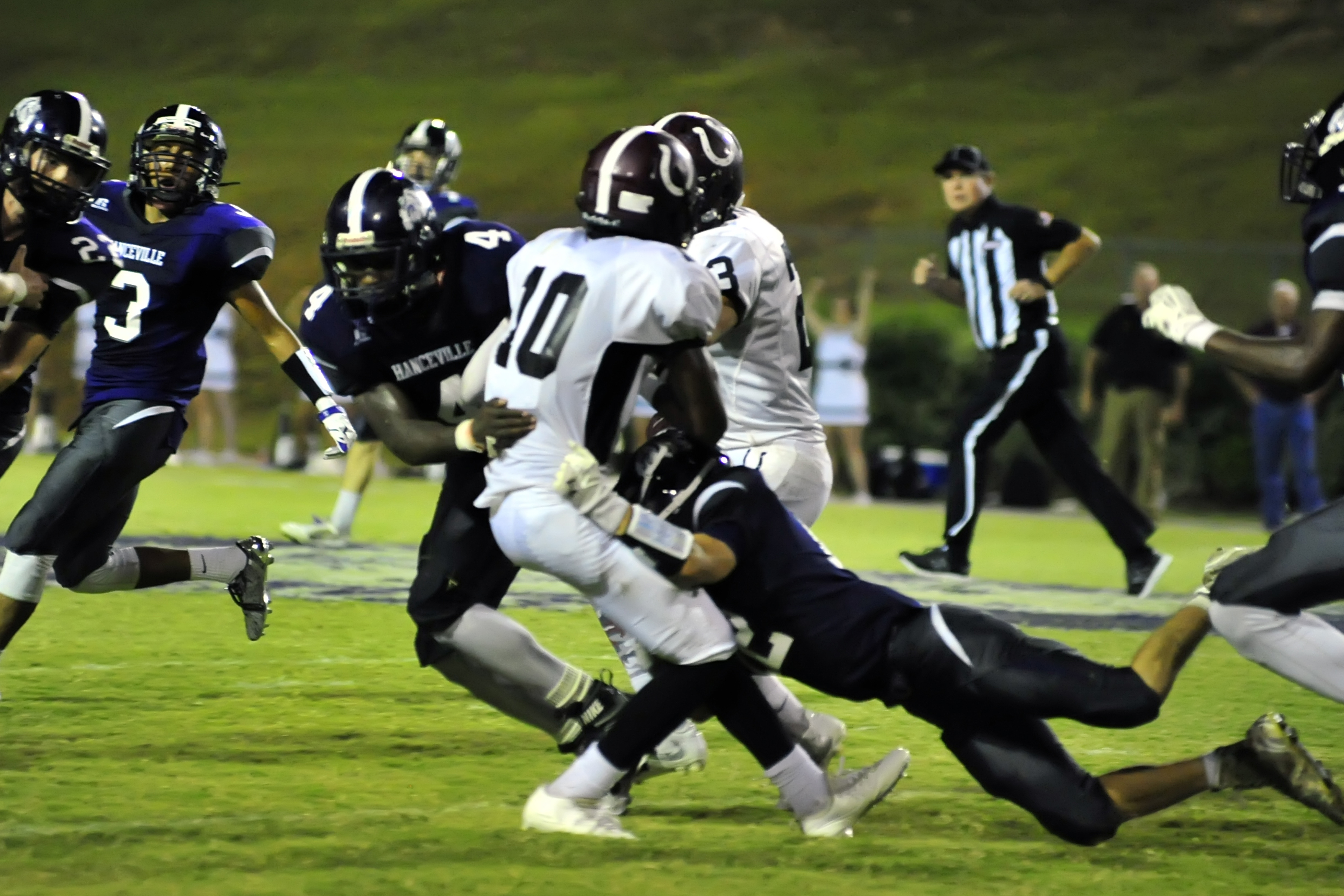 Area preview- week no. 7 Bill Piper