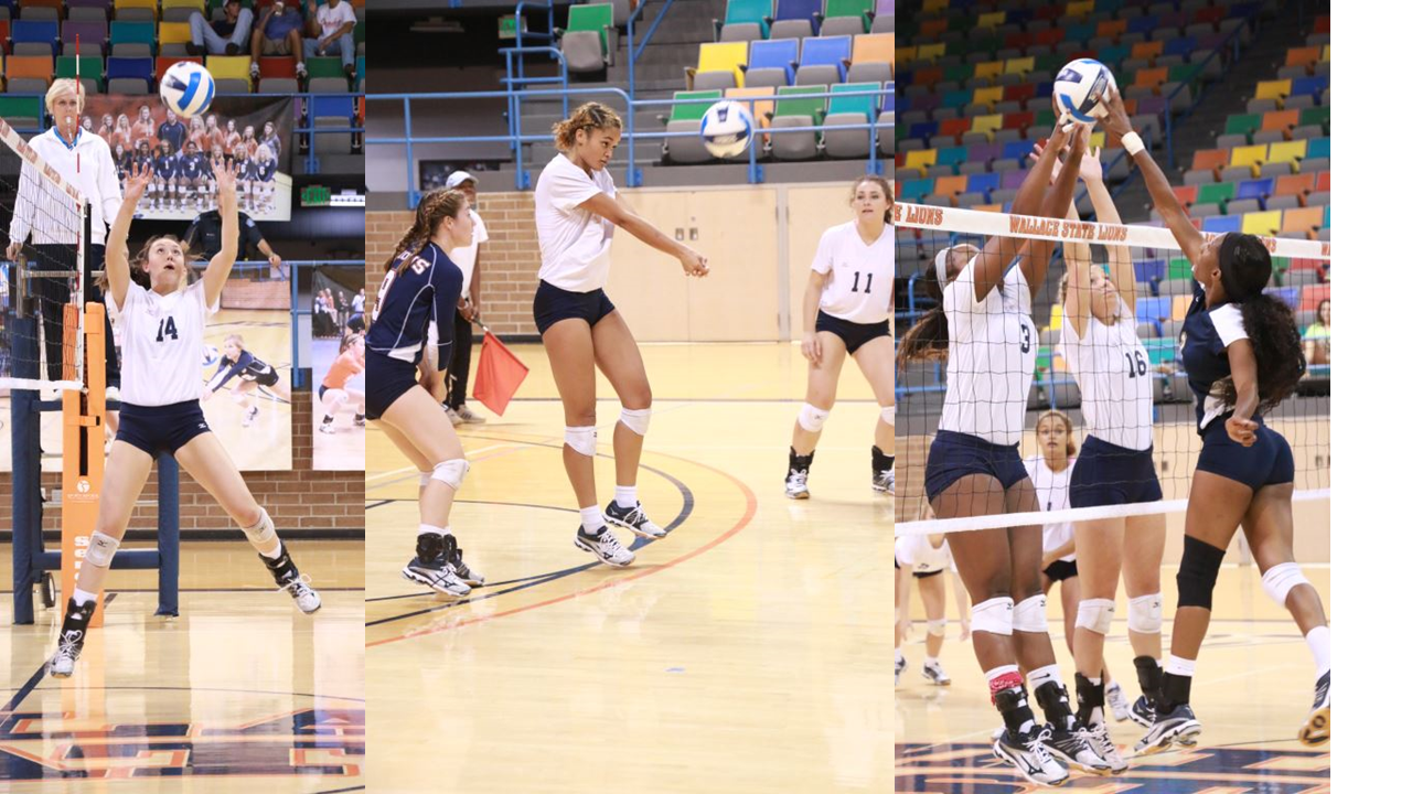 Wallace State volleyball sweeps Lawson State, extending lengthy ACCC winning streak WSCC