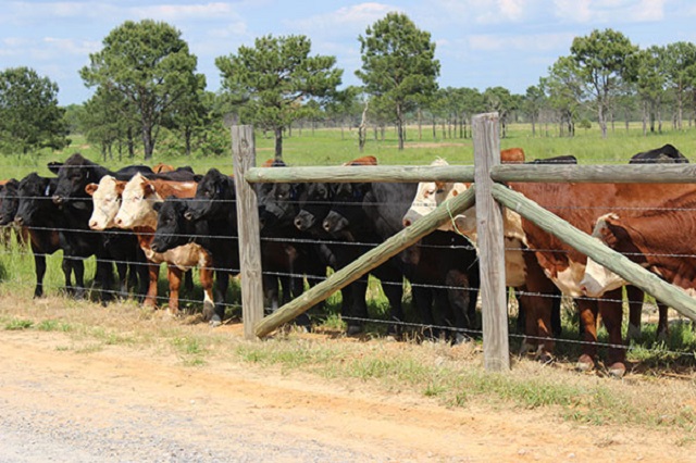 Farm City Tour 2016 set for this Thursday 04.jpg