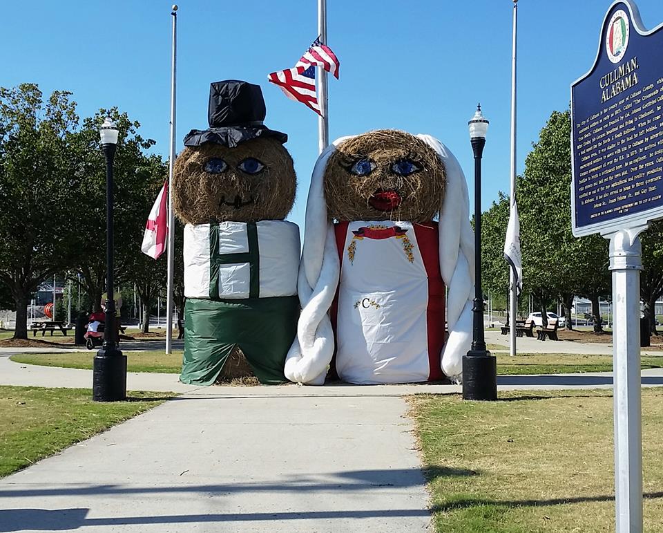 Daily schedule Wendy Sack