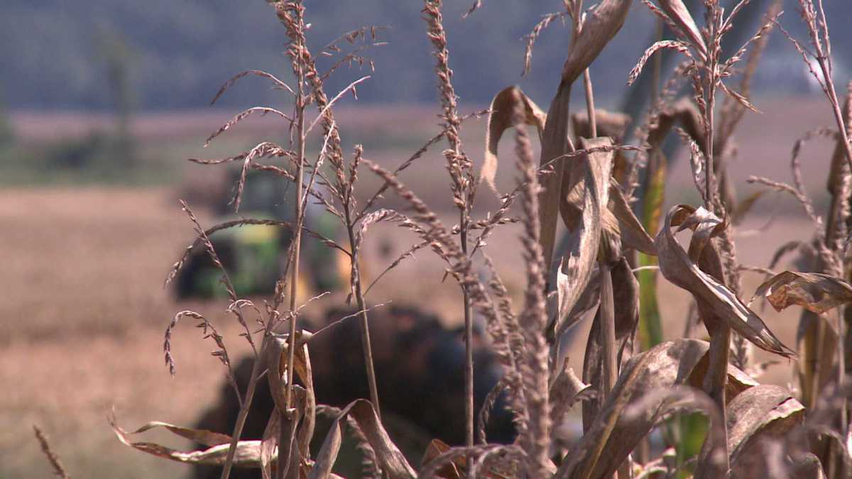 Fire Danger Warning issued for north Alabama- effective immediately WHNT