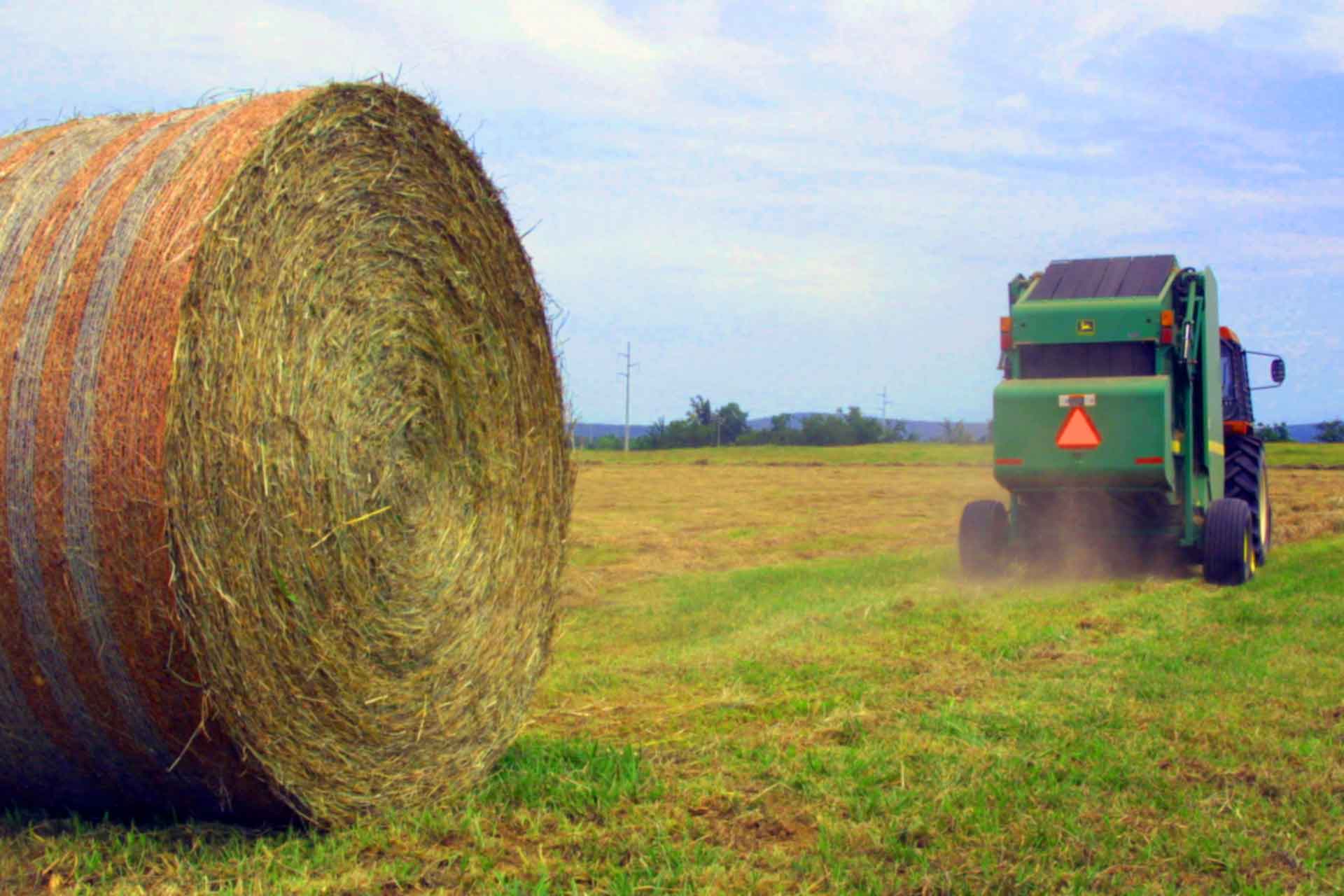 Online hay listing now available for Alabama farmers in face of drought conditions agi.alabama.gov