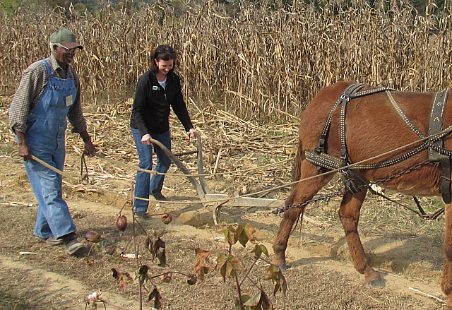 Peinhardt Farm Day coming this Saturday Rachel Dawsey