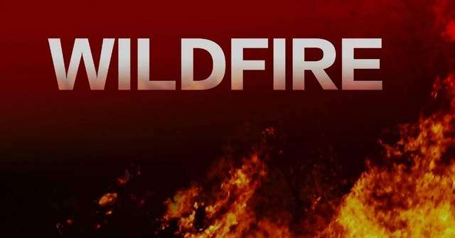 Wildfires along I-65 near mile marker 300 now contained