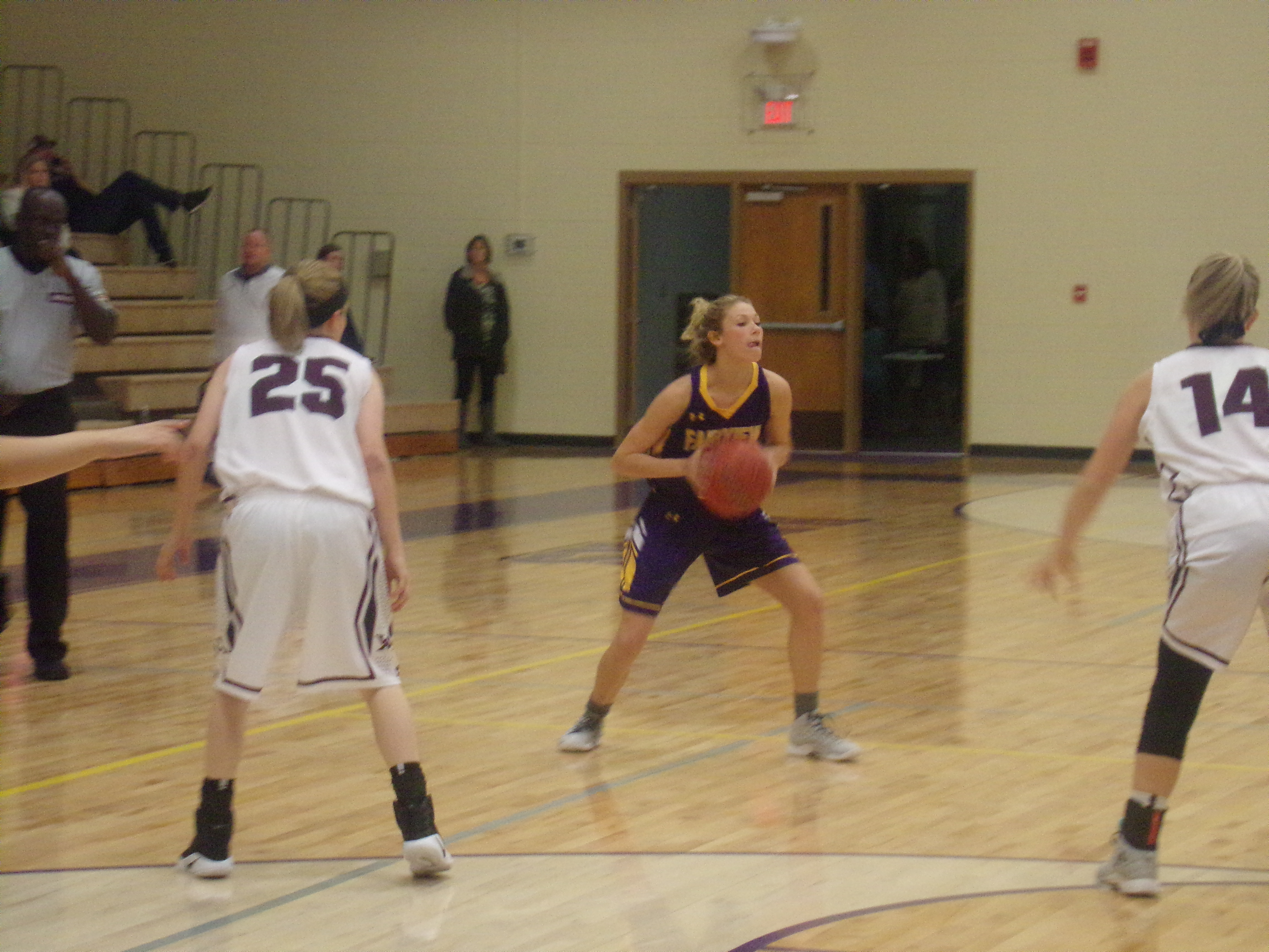 Danville escapes Holly Pond in Lady Hawks’ Classic quarterfinals; Fairview tops West Morgan Johnny Thornton