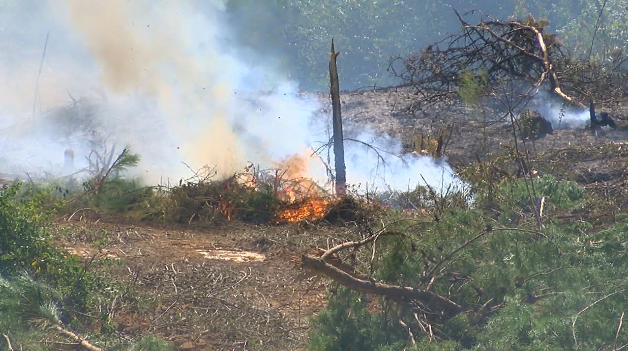 Rain brings short-term relief for wildland firefighters, but Alabama not out of drought yet WBRC